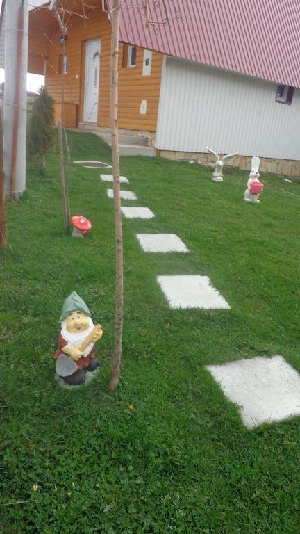 House Sandra Žabljak Buitenkant foto